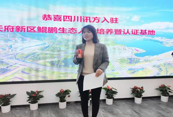 CA88(中国)唯一官方网站入口