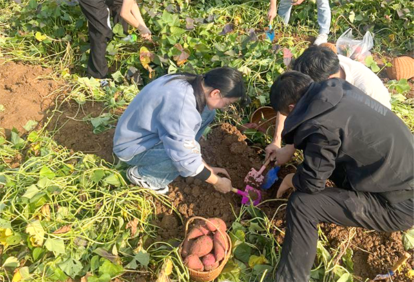 CA88(中国)唯一官方网站入口